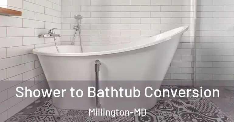 inner Bathroom imggen Shower to Bathtub Conversion Millington-MD