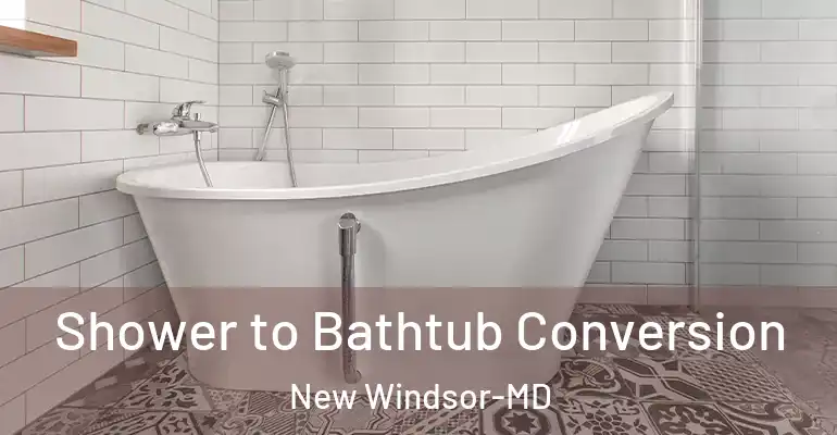 inner Bathroom imggen Shower to Bathtub Conversion New Windsor-MD