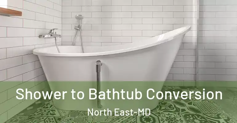 inner Bathroom imggen Shower to Bathtub Conversion North East-MD