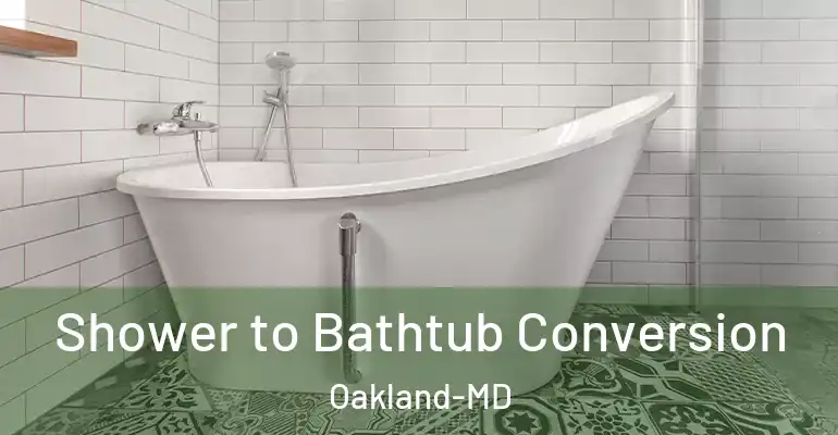 inner Bathroom imggen Shower to Bathtub Conversion Oakland-MD