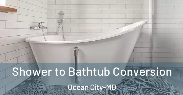 inner Bathroom imggen Shower to Bathtub Conversion Ocean City-MD