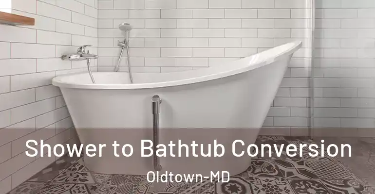 inner Bathroom imggen Shower to Bathtub Conversion Oldtown-MD