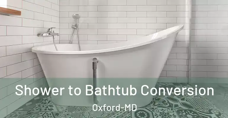 inner Bathroom imggen Shower to Bathtub Conversion Oxford-MD