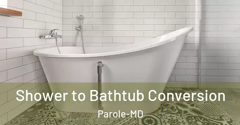inner Bathroom imggen Shower to Bathtub Conversion Parole-MD