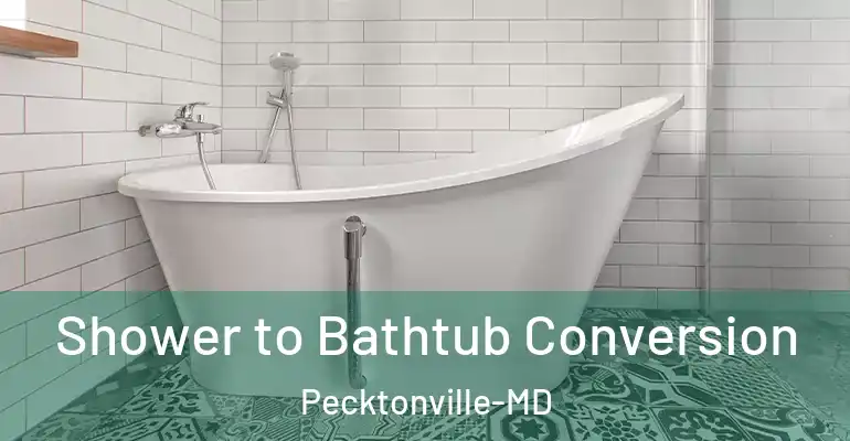 inner Bathroom imggen Shower to Bathtub Conversion Pecktonville-MD
