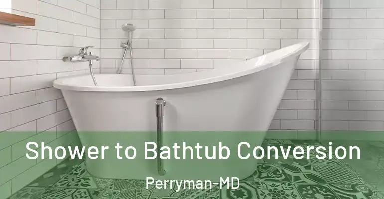 inner Bathroom imggen Shower to Bathtub Conversion Perryman-MD