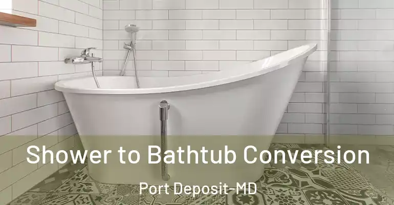 inner Bathroom imggen Shower to Bathtub Conversion Port Deposit-MD