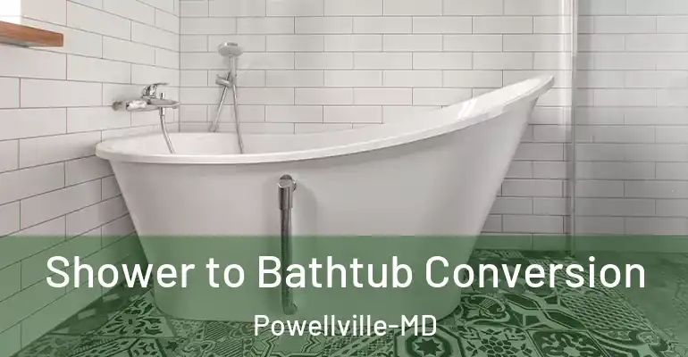 inner Bathroom imggen Shower to Bathtub Conversion Powellville-MD