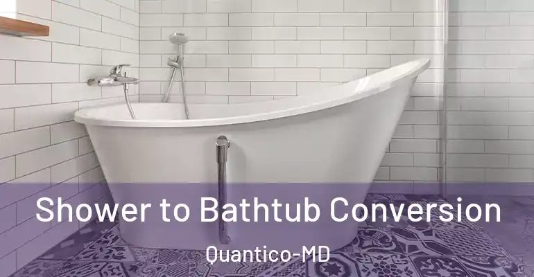 inner Bathroom imggen Shower to Bathtub Conversion Quantico-MD