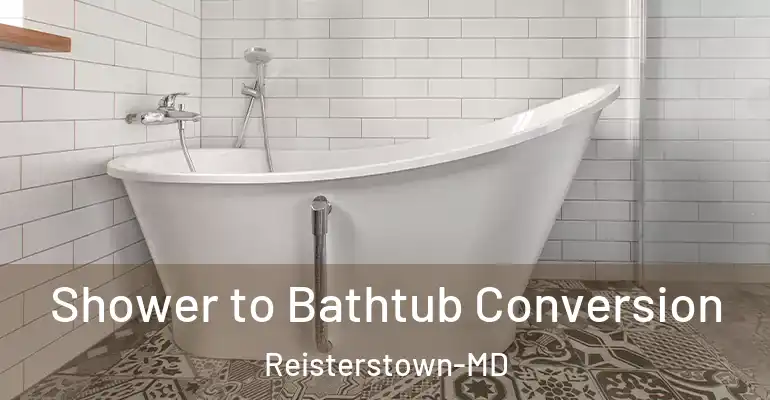 inner Bathroom imggen Shower to Bathtub Conversion Reisterstown-MD