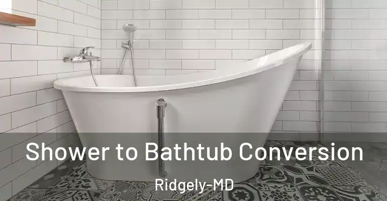inner Bathroom imggen Shower to Bathtub Conversion Ridgely-MD
