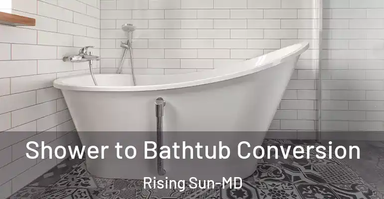 inner Bathroom imggen Shower to Bathtub Conversion Rising Sun-MD