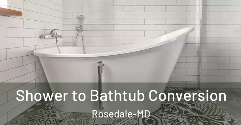 inner Bathroom imggen Shower to Bathtub Conversion Rosedale-MD