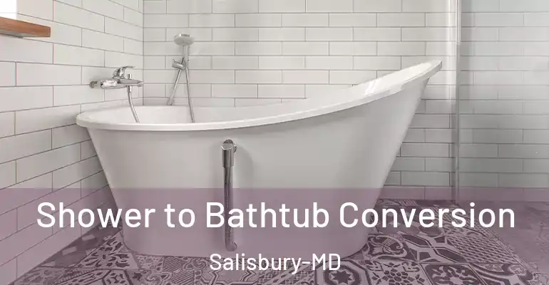inner Bathroom imggen Shower to Bathtub Conversion Salisbury-MD
