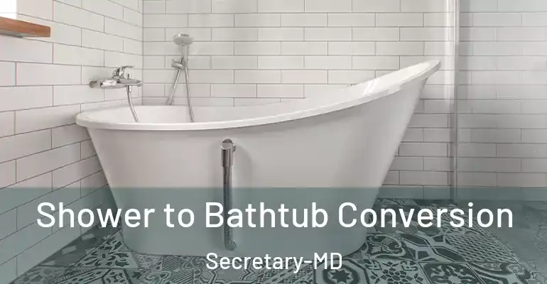 inner Bathroom imggen Shower to Bathtub Conversion Secretary-MD
