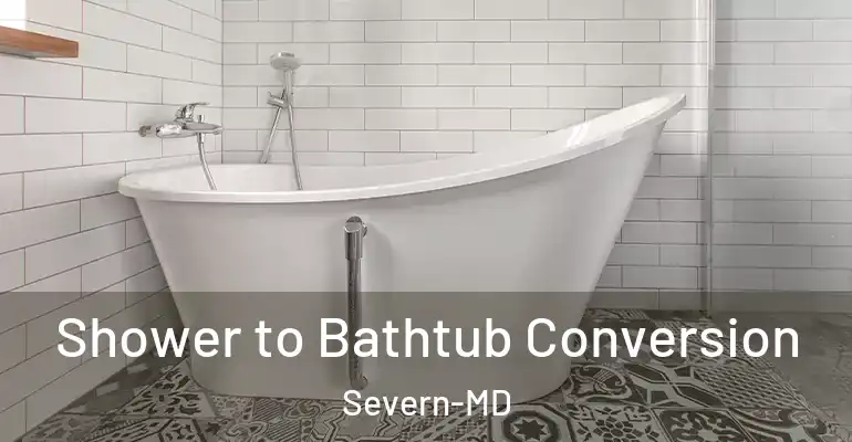 inner Bathroom imggen Shower to Bathtub Conversion Severn-MD