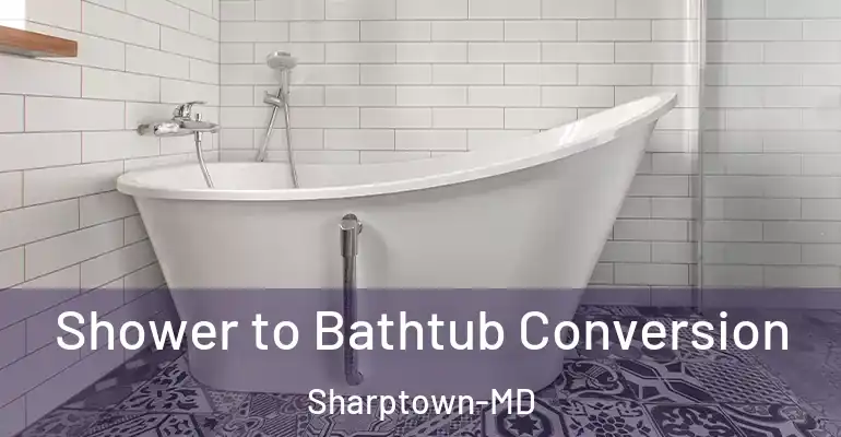 inner Bathroom imggen Shower to Bathtub Conversion Sharptown-MD