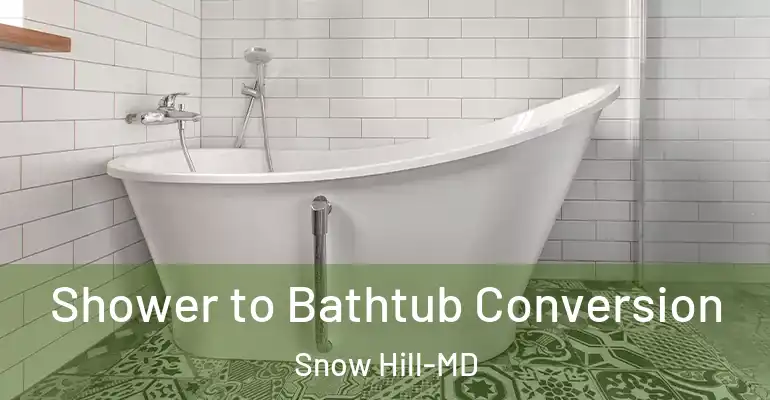 inner Bathroom imggen Shower to Bathtub Conversion Snow Hill-MD