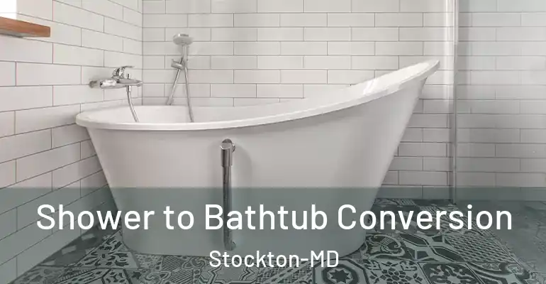 inner Bathroom imggen Shower to Bathtub Conversion Stockton-MD