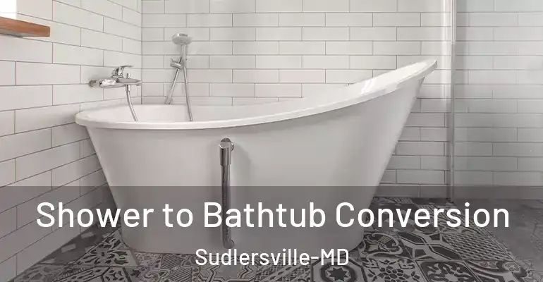 inner Bathroom imggen Shower to Bathtub Conversion Sudlersville-MD