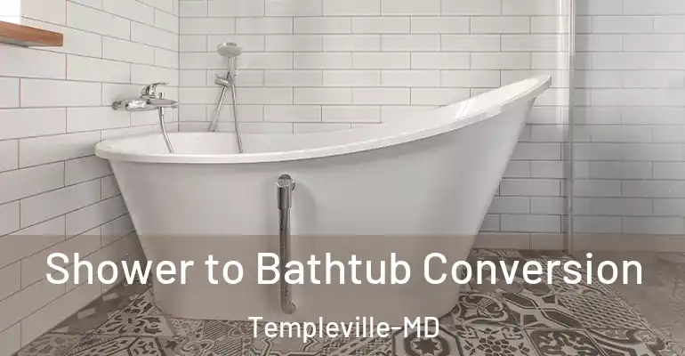 inner Bathroom imggen Shower to Bathtub Conversion Templeville-MD