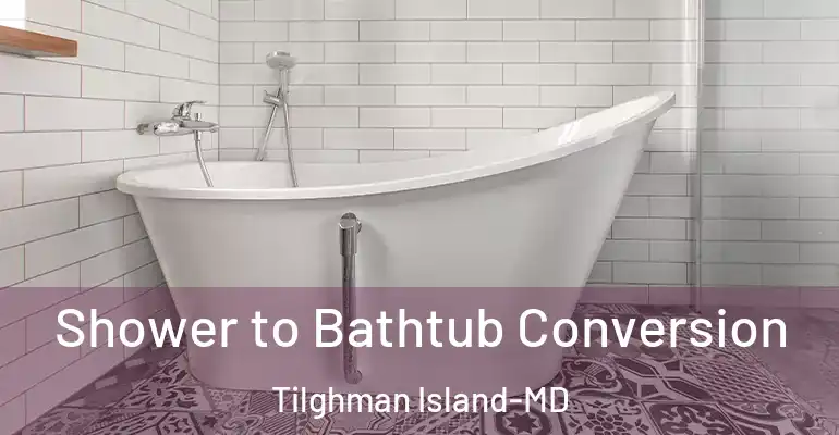 inner Bathroom imggen Shower to Bathtub Conversion Tilghman Island-MD