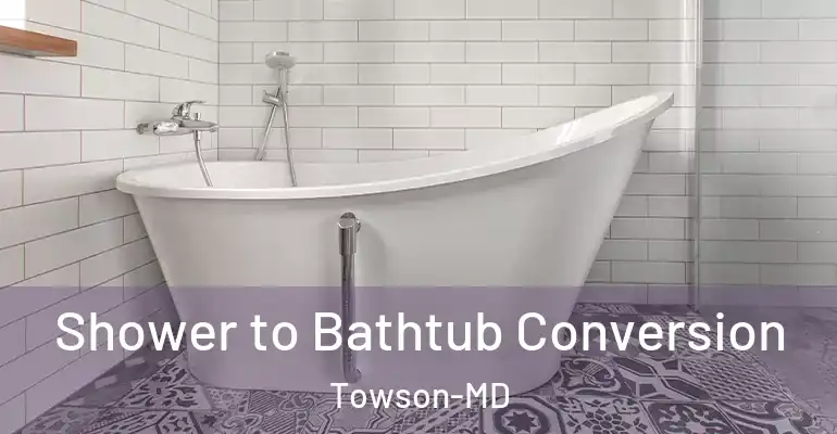 inner Bathroom imggen Shower to Bathtub Conversion Towson-MD