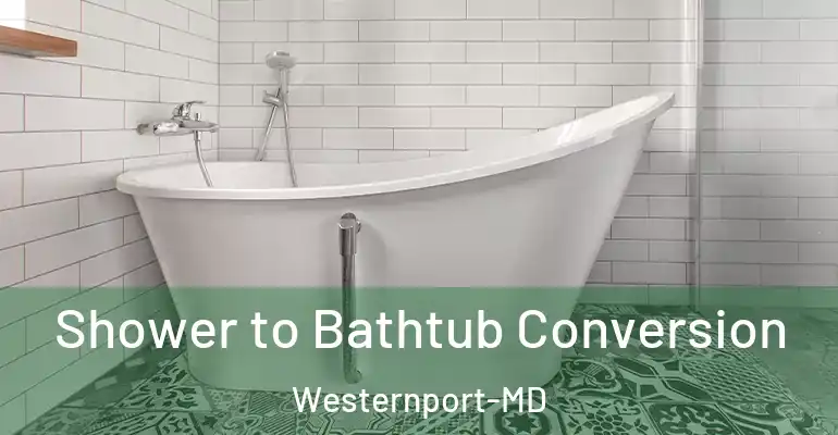 inner Bathroom imggen Shower to Bathtub Conversion Westernport-MD