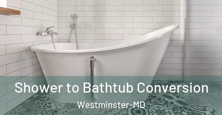 inner Bathroom imggen Shower to Bathtub Conversion Westminster-MD