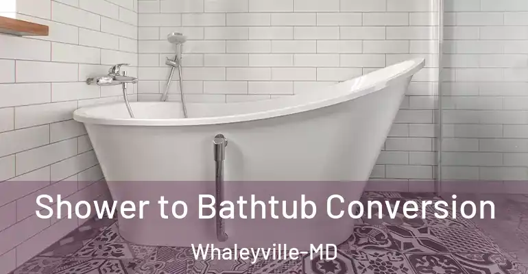 inner Bathroom imggen Shower to Bathtub Conversion Whaleyville-MD