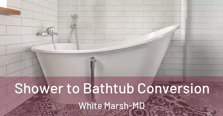 inner Bathroom imggen Shower to Bathtub Conversion White Marsh-MD