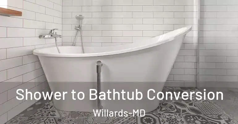 inner Bathroom imggen Shower to Bathtub Conversion Willards-MD