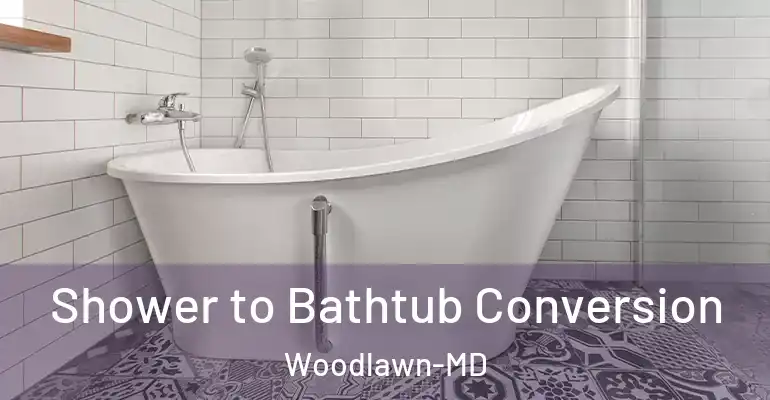 inner Bathroom imggen Shower to Bathtub Conversion Woodlawn-MD