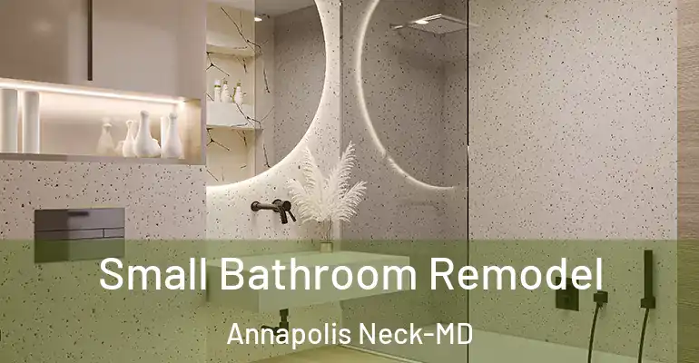 inner Bathroom imggen Small Bathroom Remodel Annapolis Neck-MD