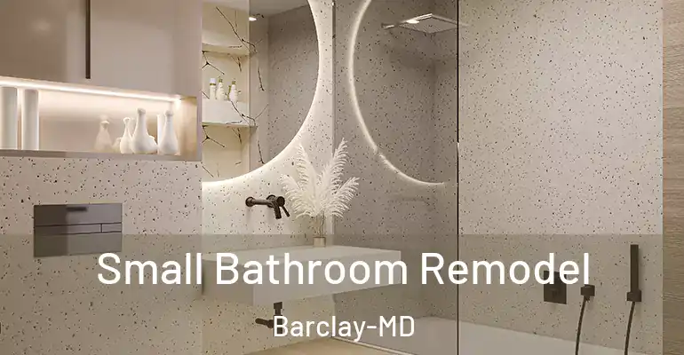 inner Bathroom imggen Small Bathroom Remodel Barclay-MD