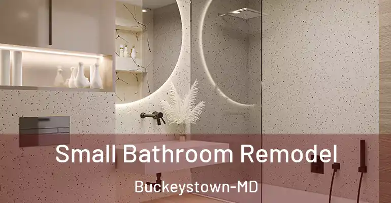 inner Bathroom imggen Small Bathroom Remodel Buckeystown-MD
