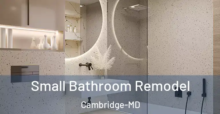 inner Bathroom imggen Small Bathroom Remodel Cambridge-MD
