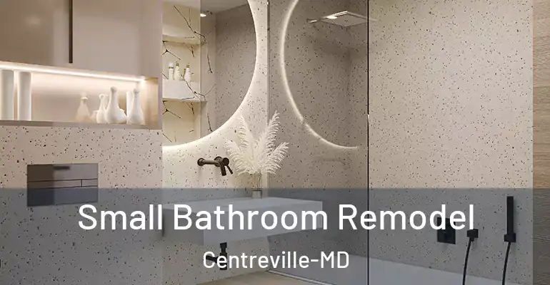 inner Bathroom imggen Small Bathroom Remodel Centreville-MD