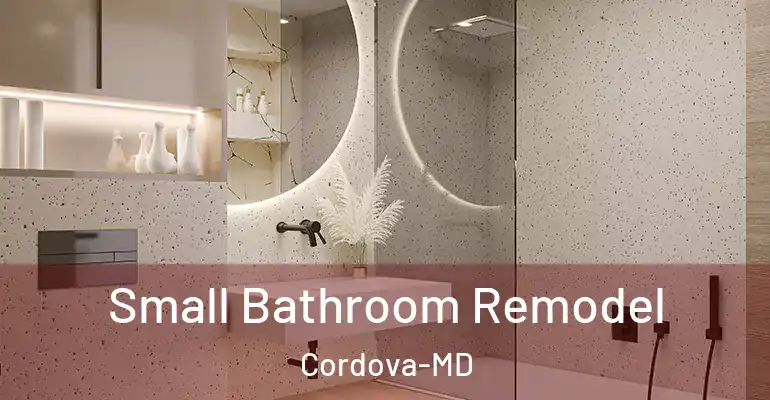 inner Bathroom imggen Small Bathroom Remodel Cordova-MD