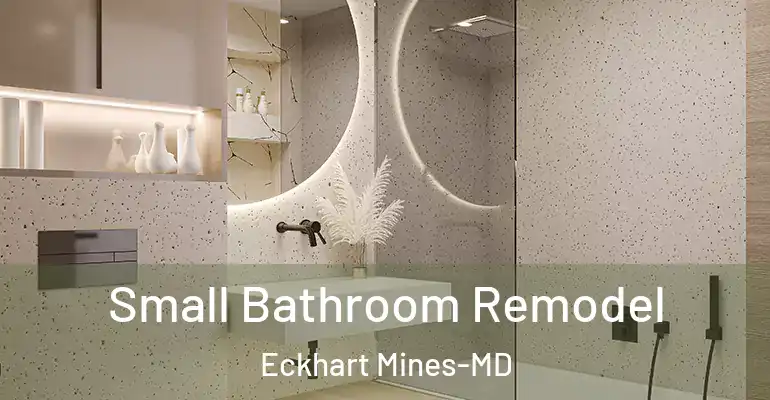 inner Bathroom imggen Small Bathroom Remodel Eckhart Mines-MD