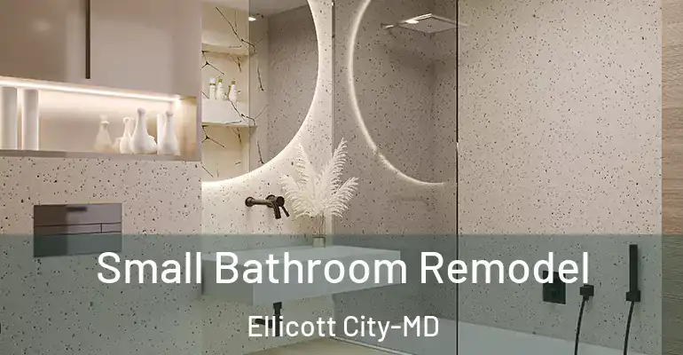 inner Bathroom imggen Small Bathroom Remodel Ellicott City-MD
