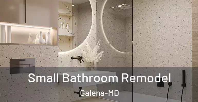 inner Bathroom imggen Small Bathroom Remodel Galena-MD