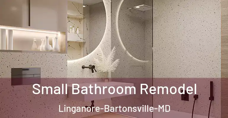 inner Bathroom imggen Small Bathroom Remodel Linganore-Bartonsville-MD