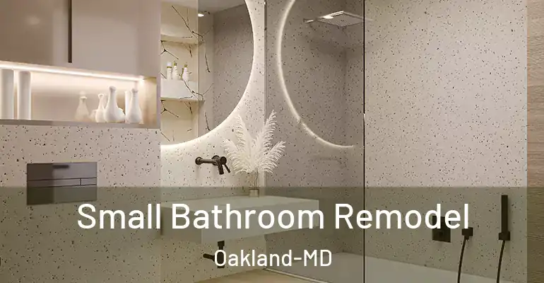 inner Bathroom imggen Small Bathroom Remodel Oakland-MD