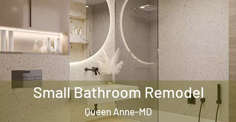 inner Bathroom imggen Small Bathroom Remodel Queen Anne-MD