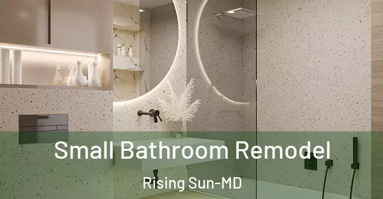 inner Bathroom imggen Small Bathroom Remodel Rising Sun-MD