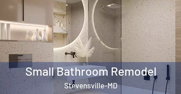 inner Bathroom imggen Small Bathroom Remodel Stevensville-MD