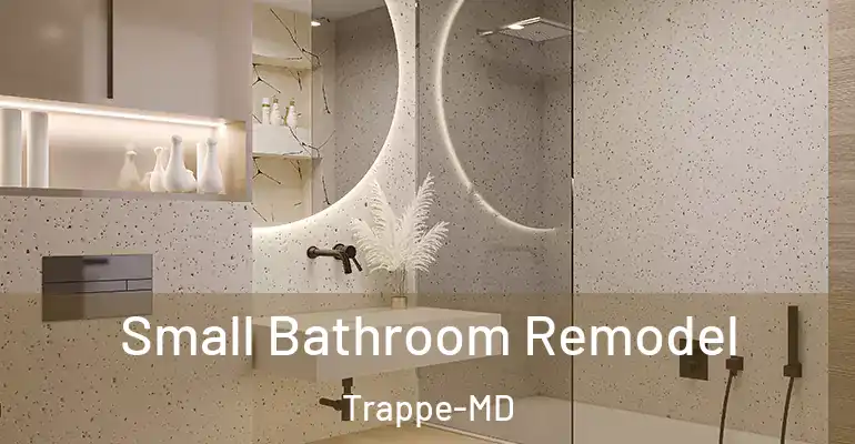 inner Bathroom imggen Small Bathroom Remodel Trappe-MD