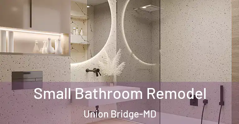 inner Bathroom imggen Small Bathroom Remodel Union Bridge-MD