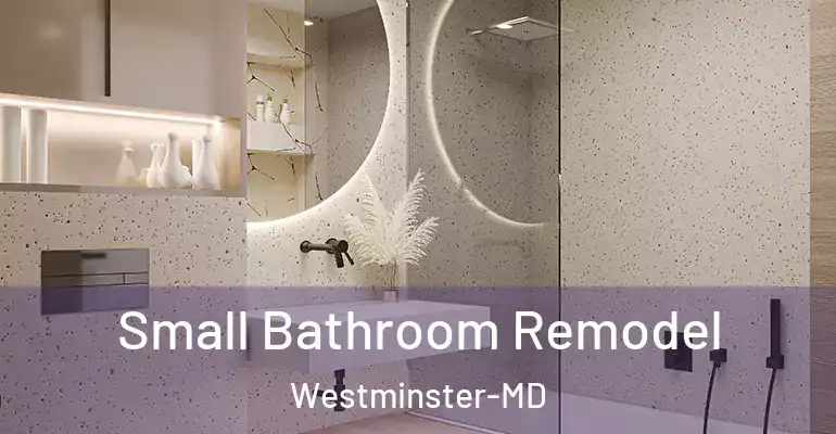 inner Bathroom imggen Small Bathroom Remodel Westminster-MD